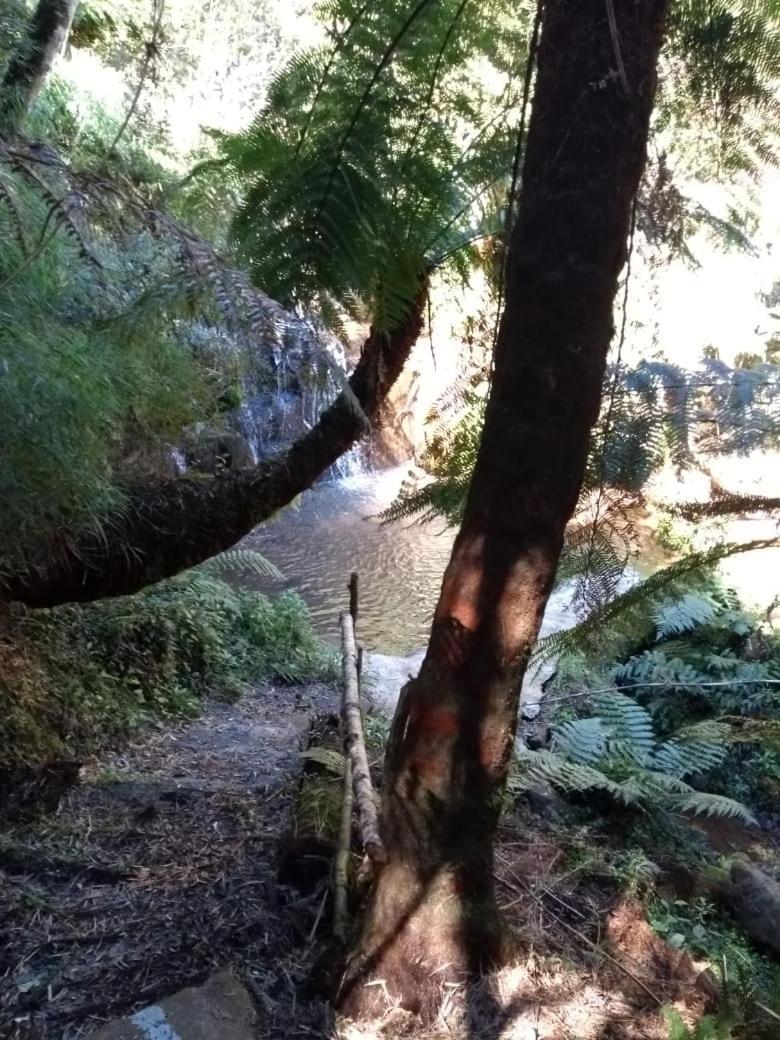 Fazenda Morro Das Torres Urupema Eksteriør billede