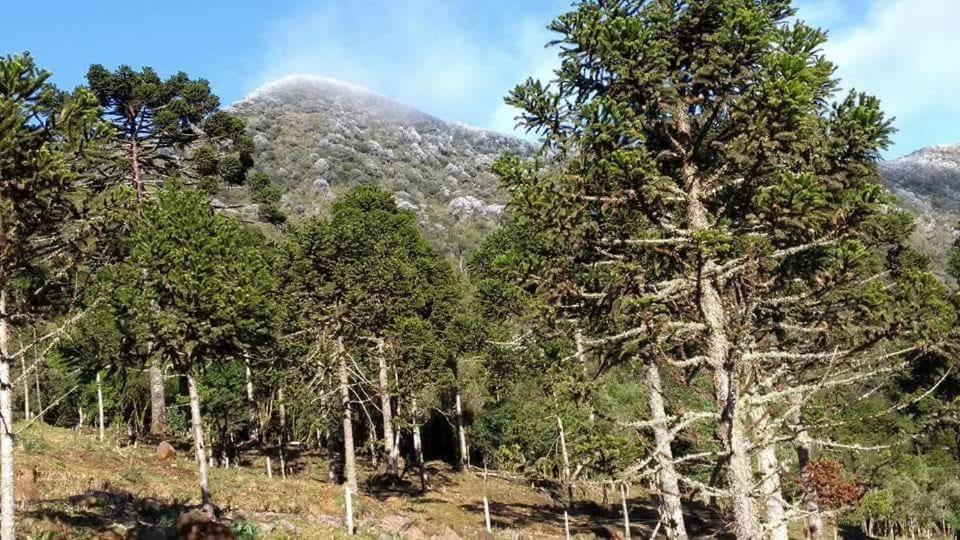 Fazenda Morro Das Torres Urupema Eksteriør billede