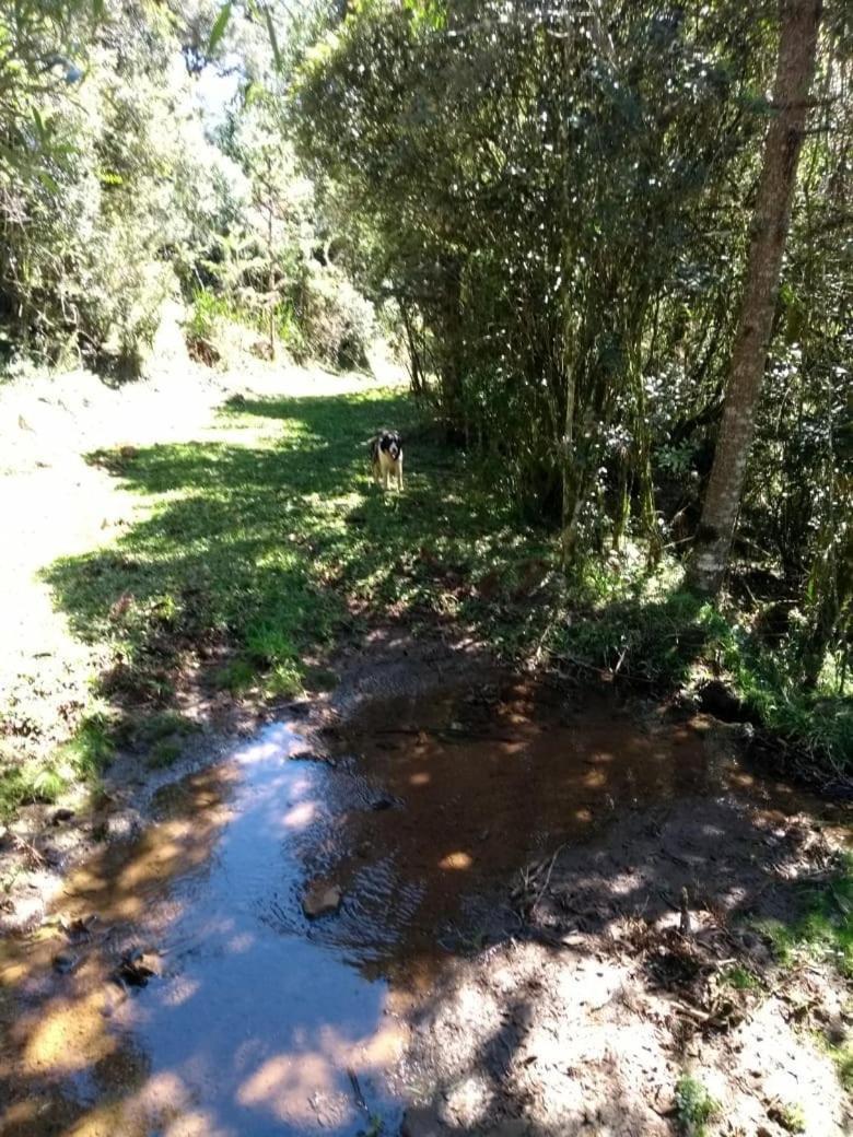Fazenda Morro Das Torres Urupema Eksteriør billede
